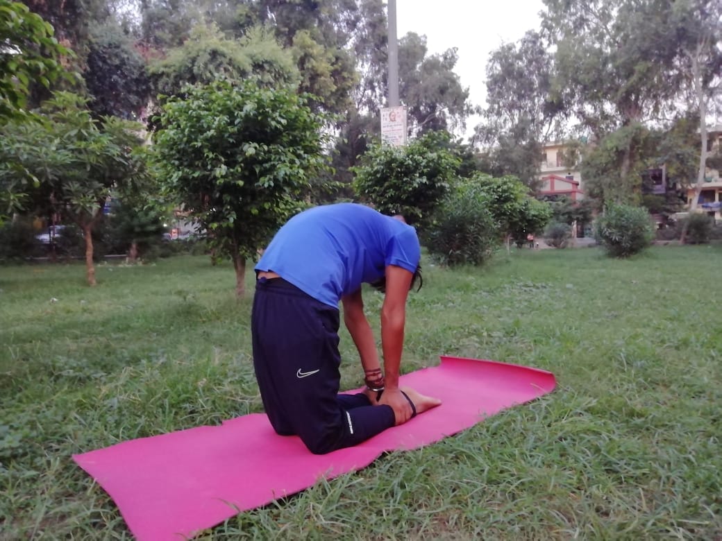 Yoga Session